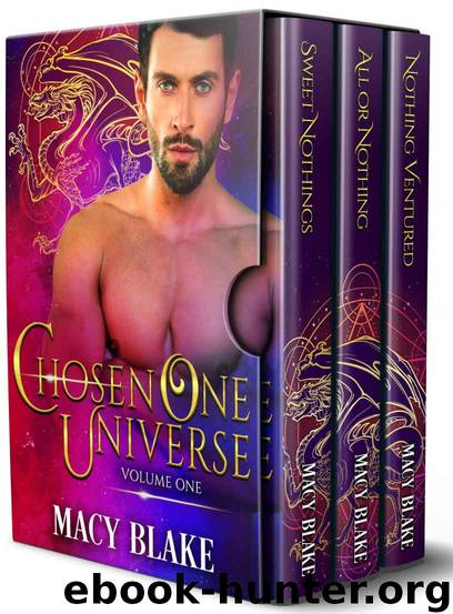 The Chosen One Universe Volume One: An MM Paranormal Fantasy Shifters Series by Blake Macy