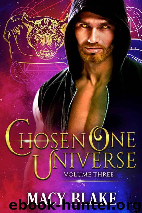 The Chosen One Universe Volume Three: An MM Paranormal Fantasy Shifters Series by Blake Macy
