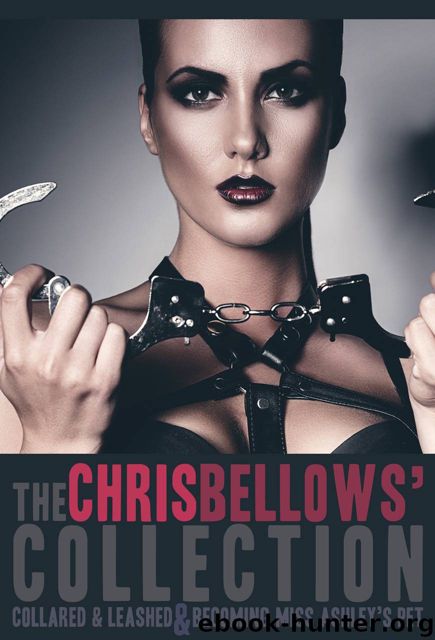 The Chris Bellows' Collection by Chris Bellows