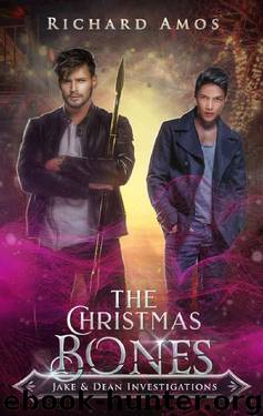 The Christmas Bones (Jake & Dean Investigations Book 1) by Richard Amos