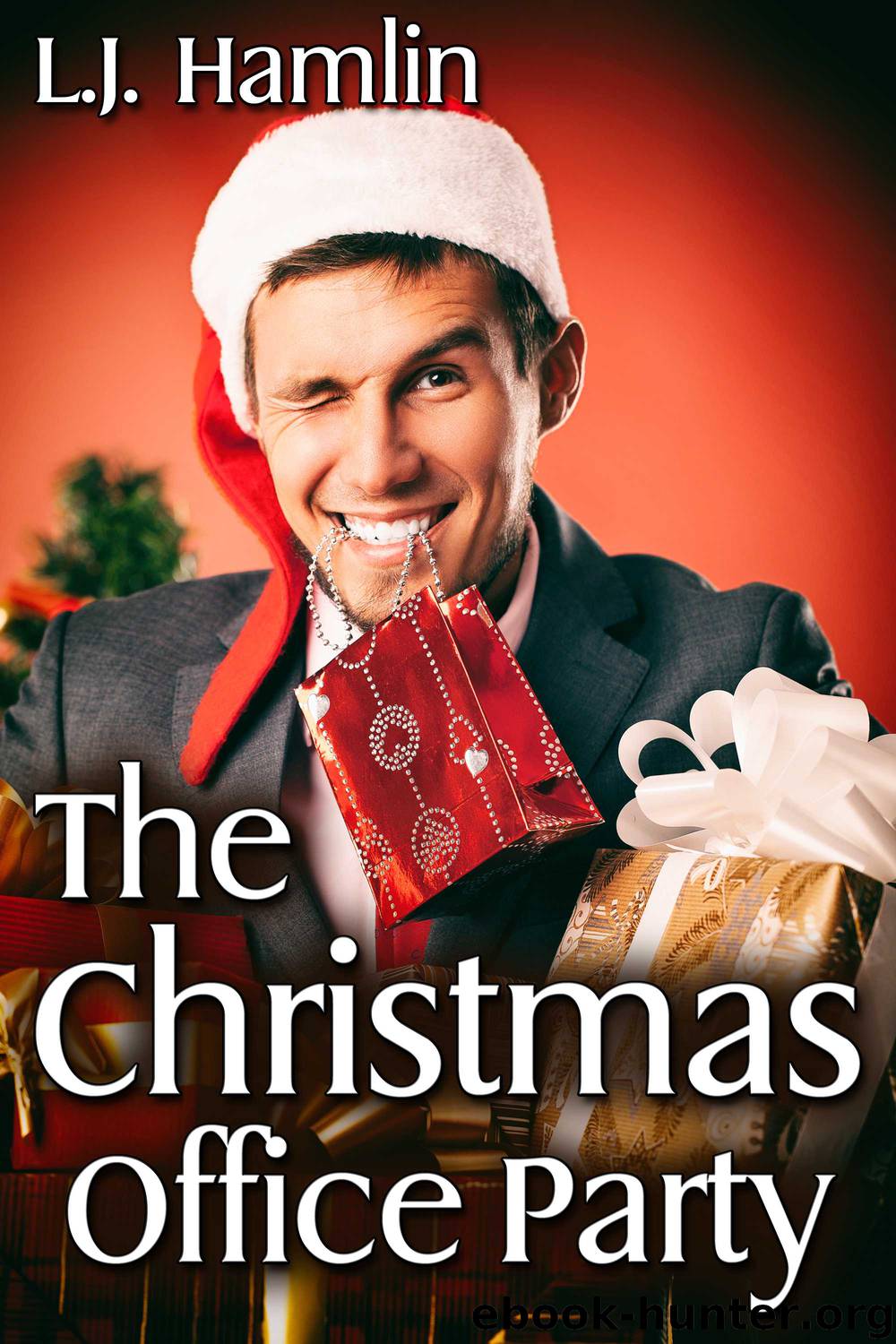 The Christmas Office Party by L.J. Hamlin