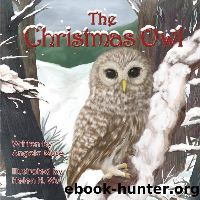 The Christmas Owl by Angela Muse