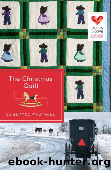 The Christmas Quilt (Quilts of Love Series) by Vannetta Chapman