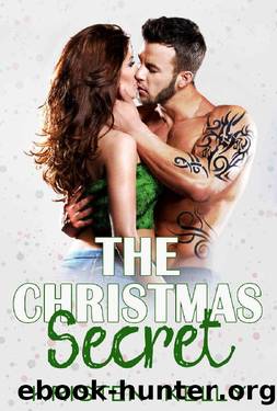 The Christmas Secret by Kristen Kelly