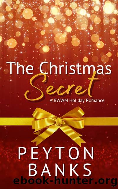 The Christmas Secret by Peyton Banks