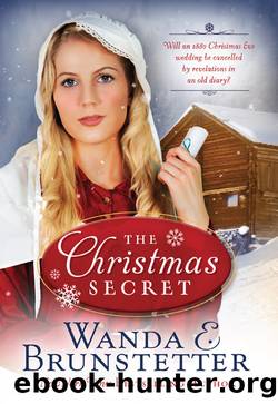 The Christmas Secret by Wanda E. Brunstetter