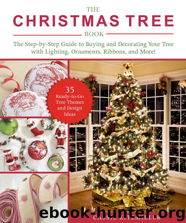The Christmas Tree Book by Cassie Kitzmiller
