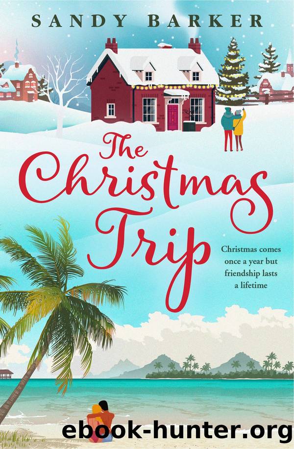 The Christmas Trip by Sandy Barker