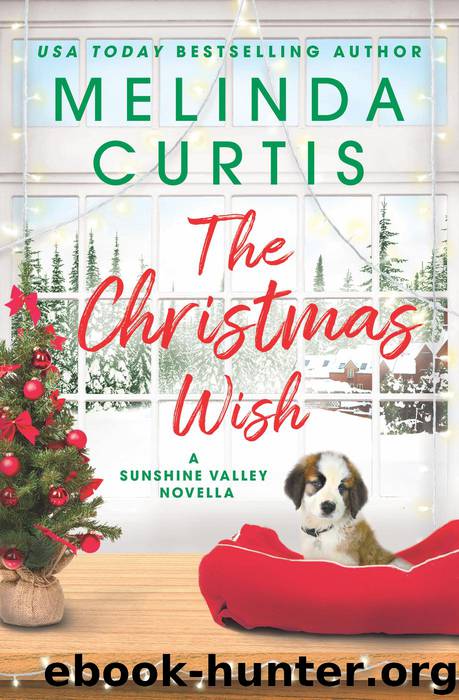 The Christmas Wish by Melinda Curtis