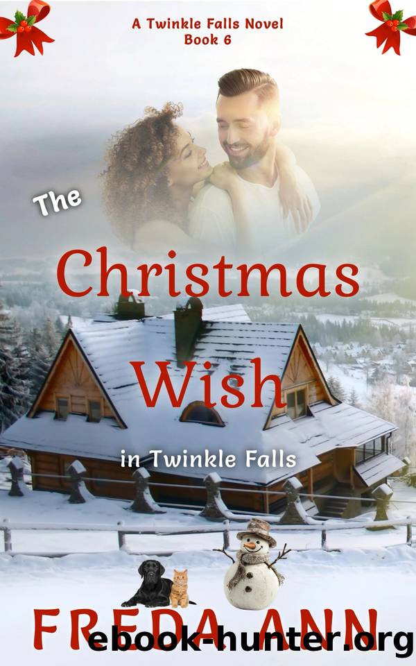 The Christmas Wish in Twinkle Falls by Freda Ann