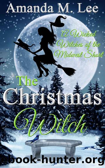 The Christmas Witch by Amanda M Lee