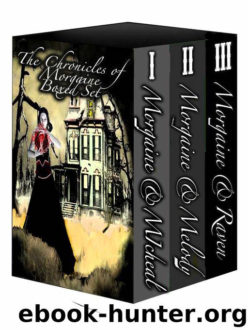 The Chronicles Of Morgaine 01-03 (Single Volume) by Joe Vadalma