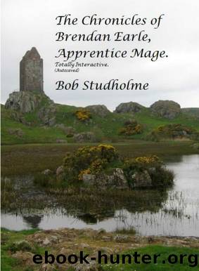 The Chronicles of Brendan Earle, Apprentice Mage. (Autosaved). by Bob Studholme
