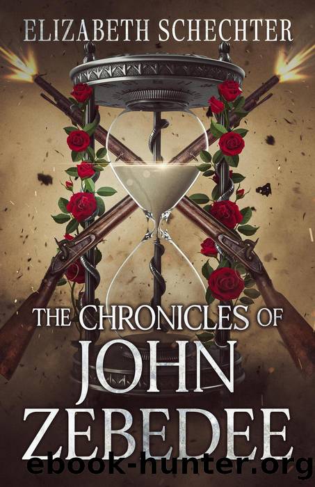 The Chronicles of John Zebedee by Elizabeth Schechter