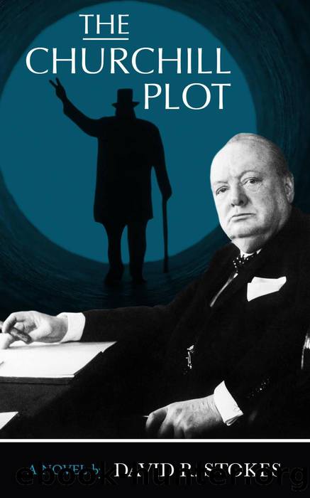 The Churchill Plot by David R. Stokes