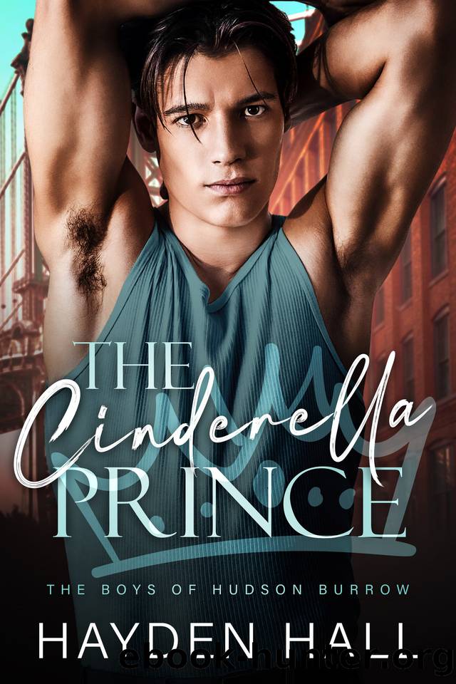 The Cinderella Prince (The Boys of Hudson Burrow Book 1) by Hayden Hall