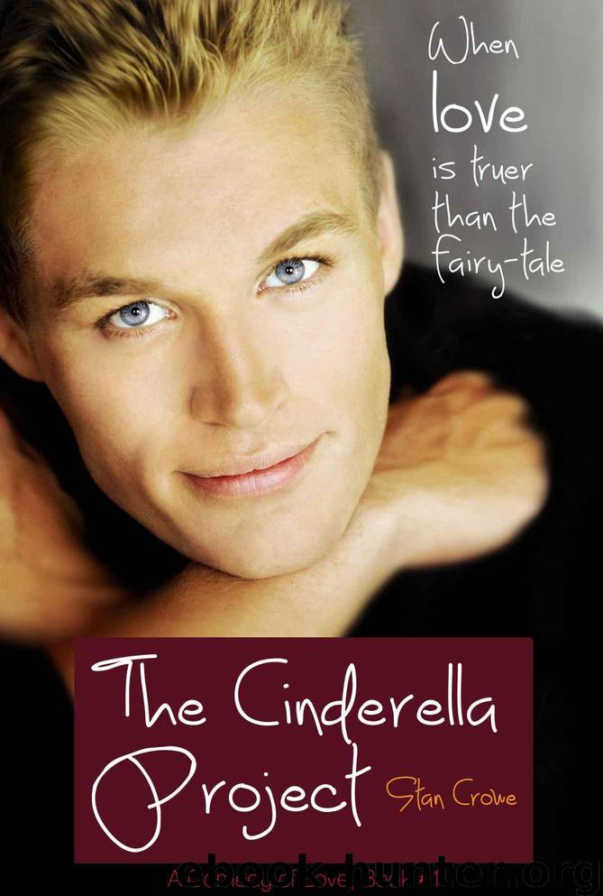 The Cinderella Project (A Comedy of Love, #1) by Crowe Stan