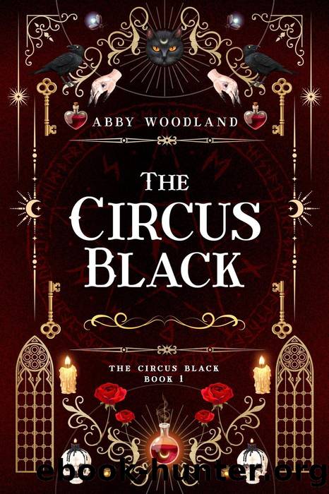 The Circus Black (Book 1) by Abby Woodland
