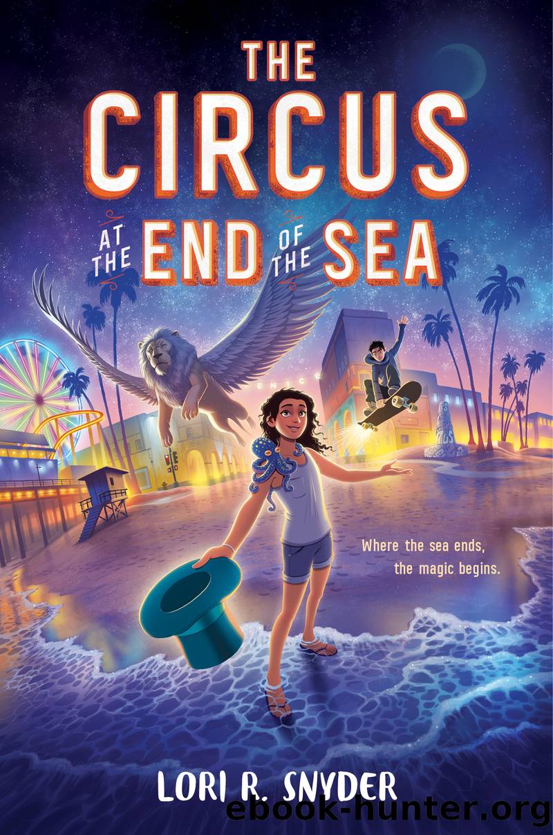 The Circus at the End of the Sea by Lori R. Snyder