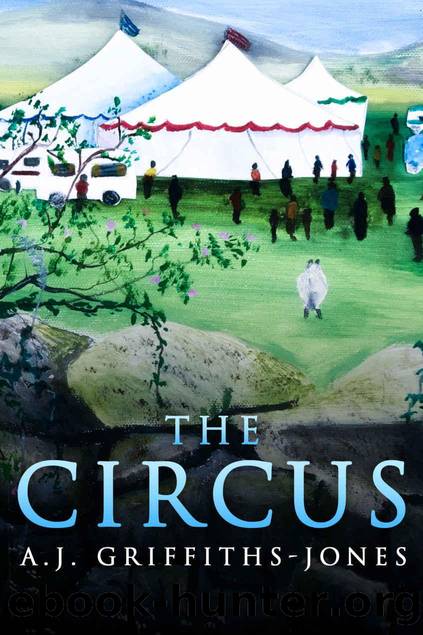 The Circus by Griffiths-Jones A.J