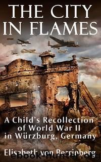 The City in Flames by Elisabeth von Berrinberg