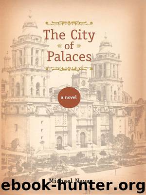 The City of Palaces by Michael Nava