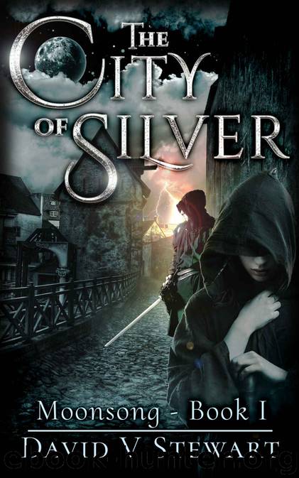 The City of Silver by David V Stewart