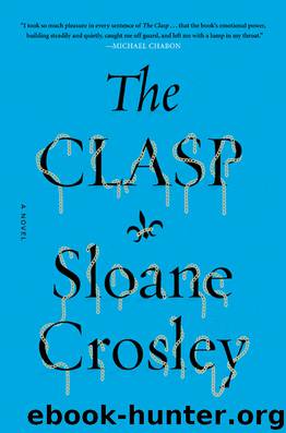 The Clasp by Sloane Crosley