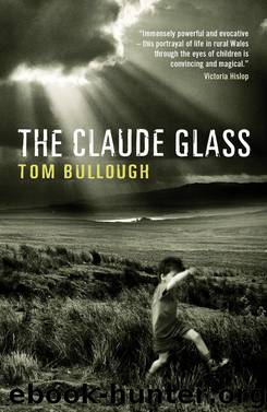 The Claude Glass by Tom Bullough