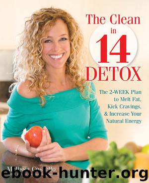 The Clean in 14 Detox by Melissa Costello