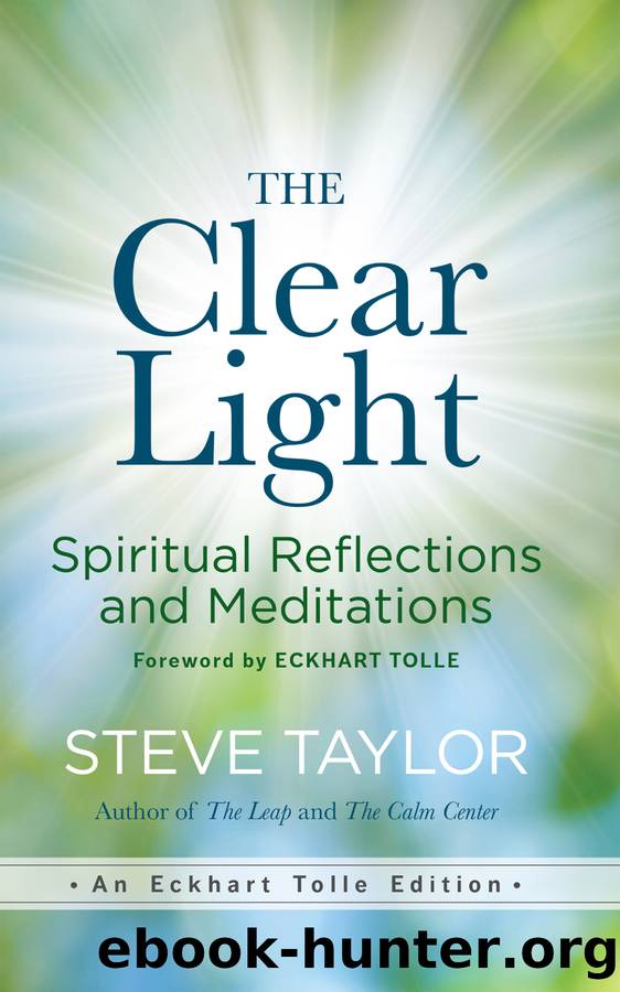 The Clear Light by Steve Taylor