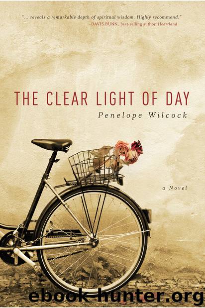 The Clear Light of Day: A Novel by Penelope Wilcock