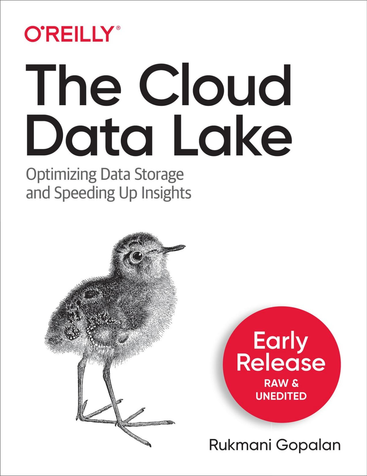 The Cloud Data Lake by Rukmani Gopalan