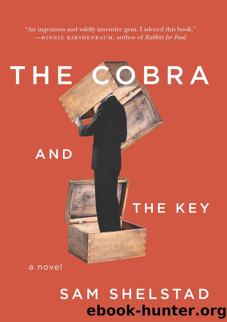The Cobra and the Key by Sam Shelstad