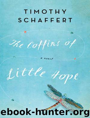 The Coffins of Little Hope by Timothy Schaffert
