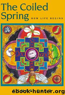 The Coiled Spring How Life Begins by Ethan Bier