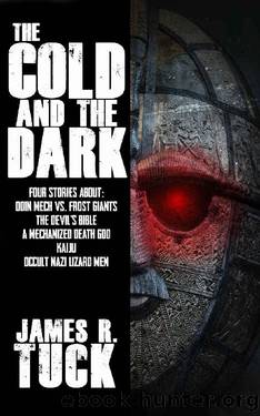 The Cold And The Dark: Four stories of Kaijus, Giant Mechs, Girl Kings, and Hollow Earth by James R. Tuck