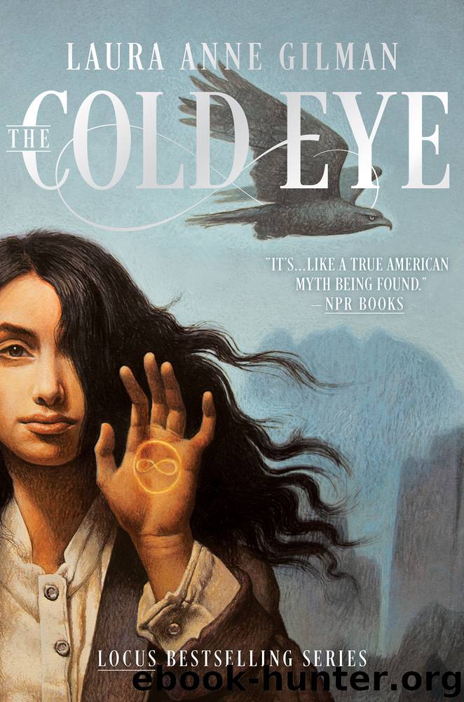 The Cold Eye by Laura Anne Gilman