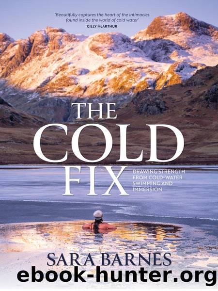 The Cold Fix by Sara Barnes
