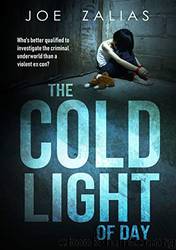 The Cold Light Of Day by Joe Zalias
