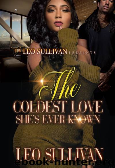 The Coldest Love She's Ever Known by Leo Sullivan