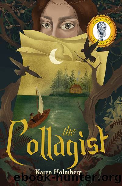The Collagist by Karen Holmberg