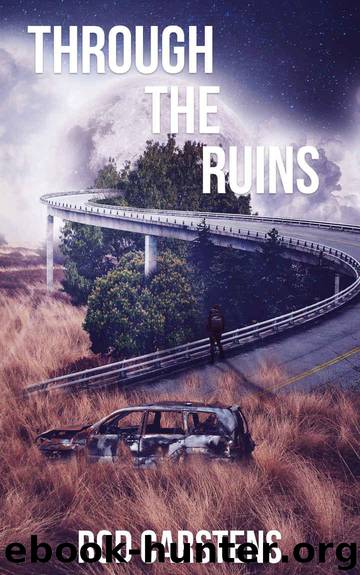 The Collapse Trilogy (Book 3): Through the Ruins by Carstens Rod