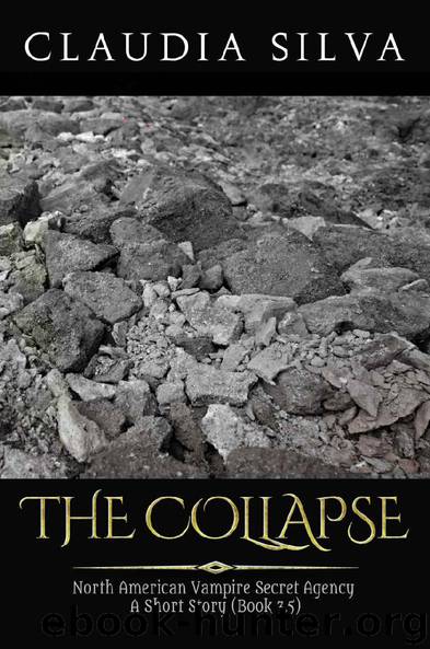 The Collapse by Claudia Silva