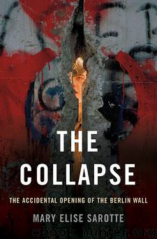 The Collapse by Mary Elise Sarotte