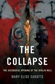The Collapse by Sarotte Mary Elise