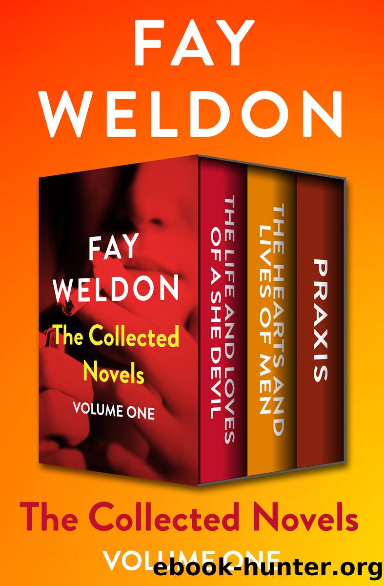 The Collected Novels Volume One by Fay Weldon