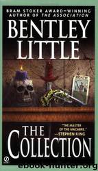 The Collection by Bentley Little