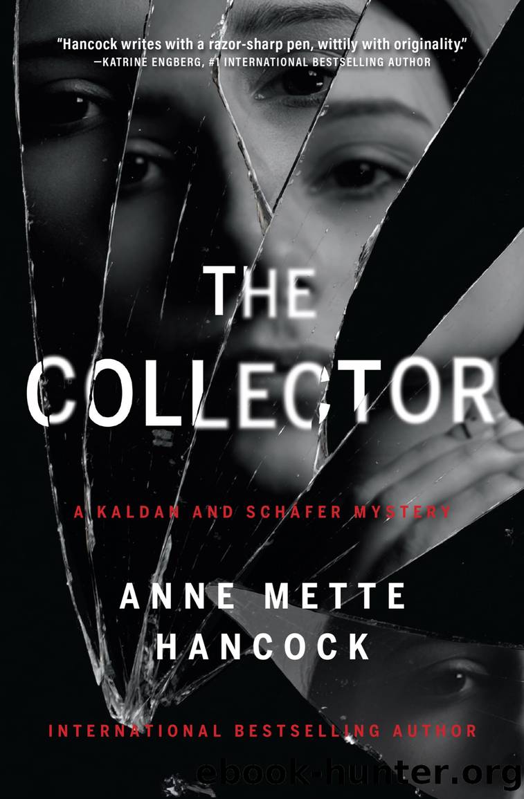 The Collector by Anne Mette Hancock