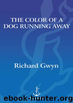 The Color of a Dog Running Away by Richard Gwyn